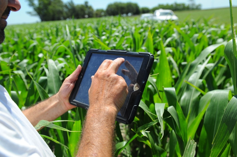 Recolección de datos en campo